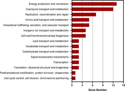 CtrA activates the expression of glutathione S-transferase conferring oxidative stress resistance to Ehrlichia chaffeensis